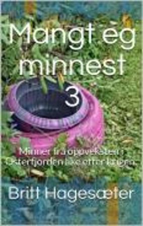 Mangt eg minnest - 3