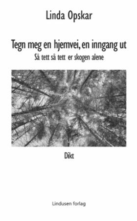 Tegn meg en hjemvei, en inngang ut - så tett så tett er skogen alene : dikt