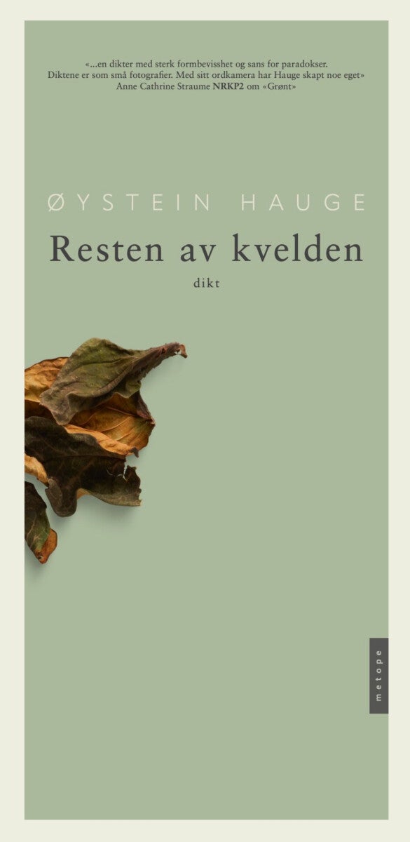 Resten av kvelden - dikt