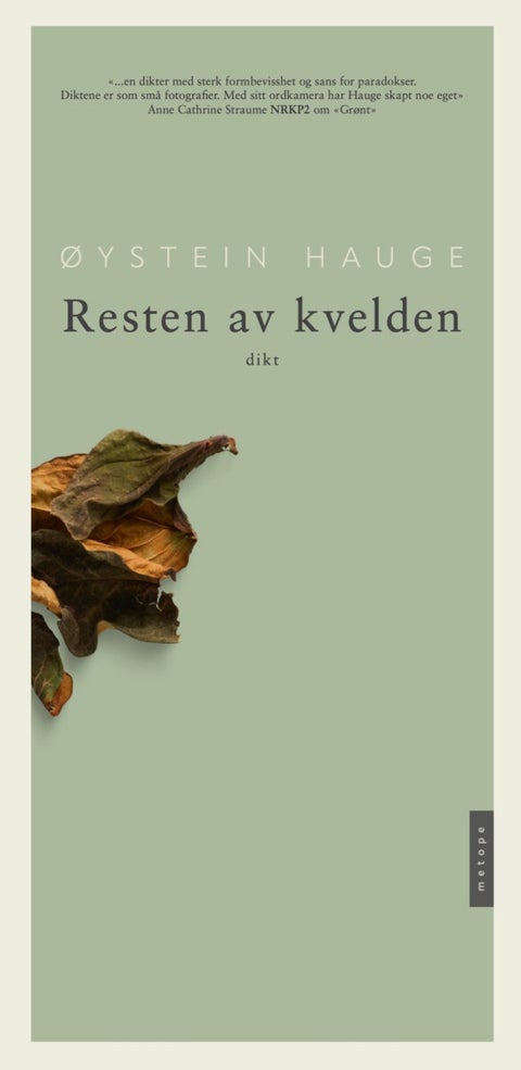 Resten av kvelden - dikt