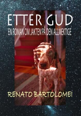 Etter Gud - en roman om jakten på Gud