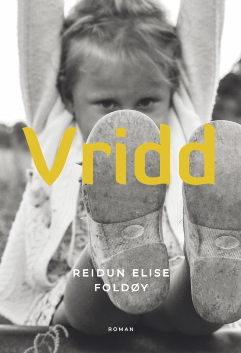 Vridd - roman