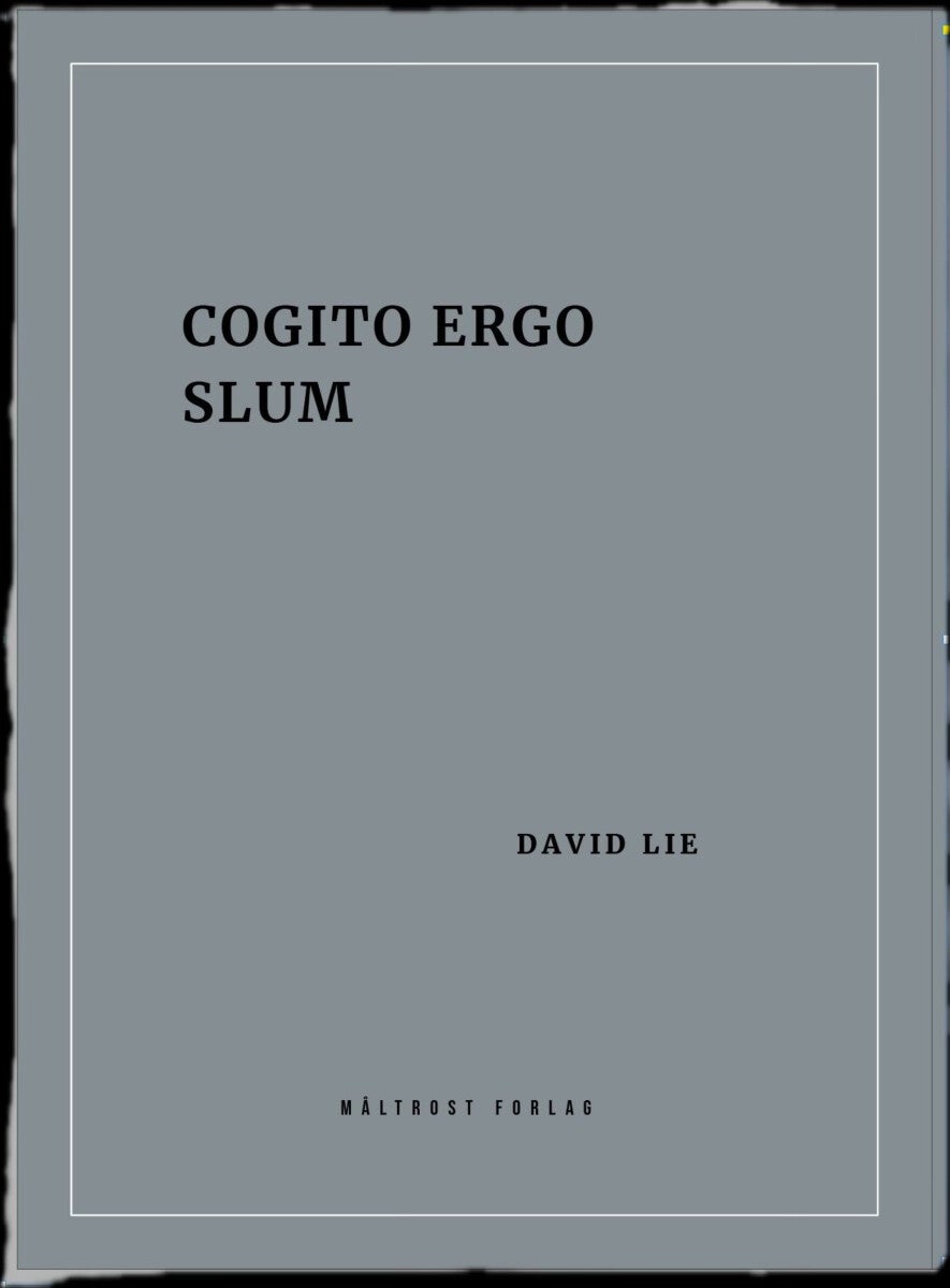 Cogito ergo slum