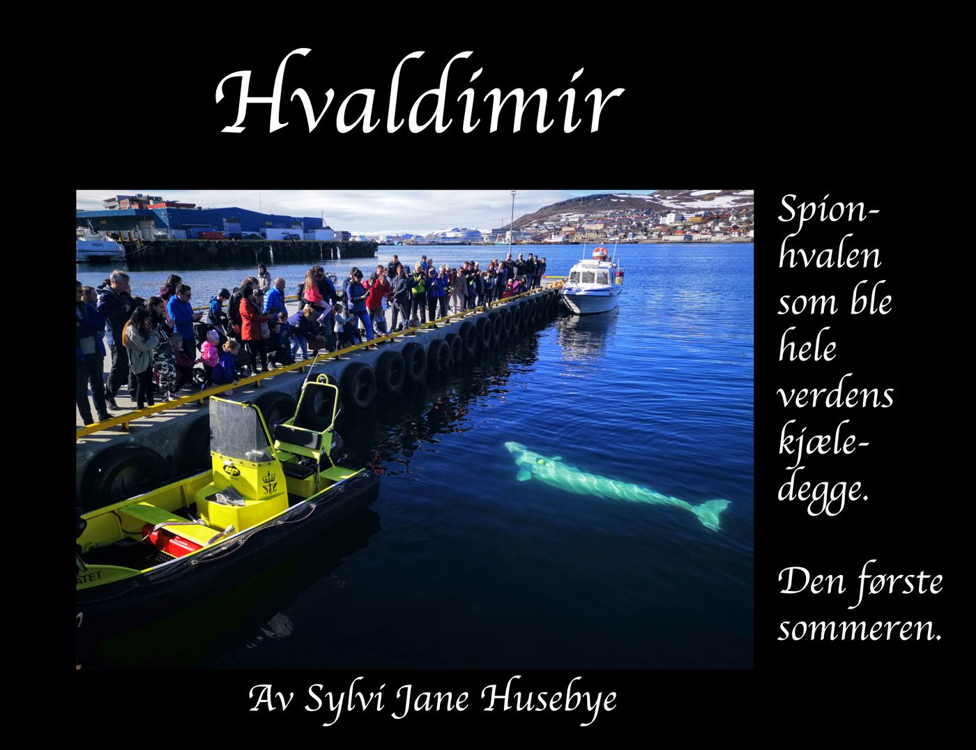 Hvaldimir - spionhvalen som ble hele verdens kjæledegge : den første sommeren