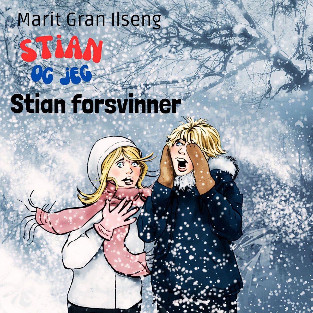 Stian forsvinner