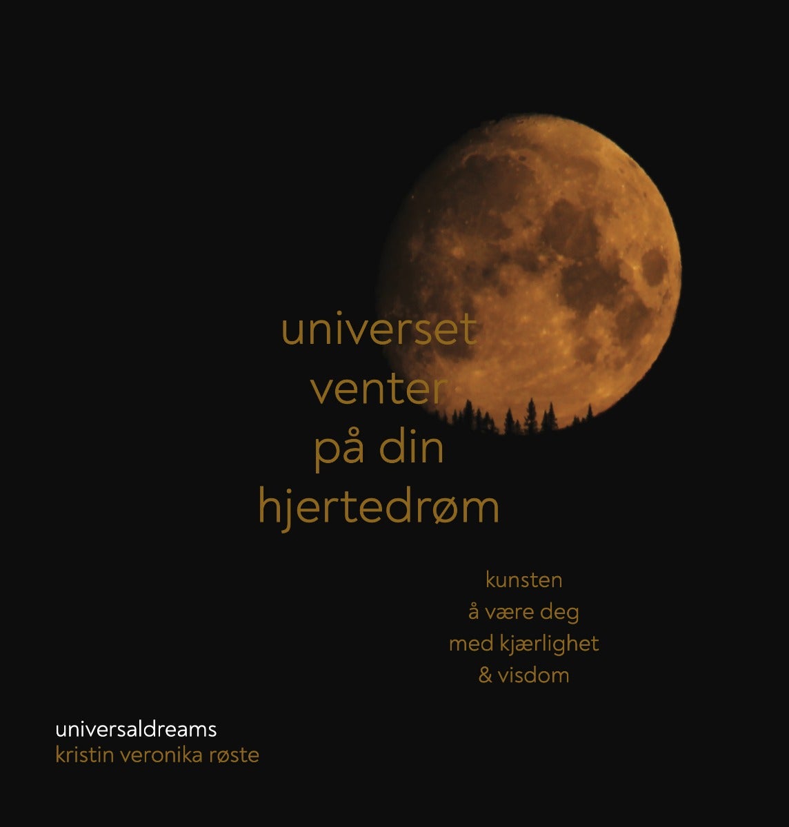 Universet venter på din hjertedrøm - Kunsten å være deg med kjærlighet & visdom