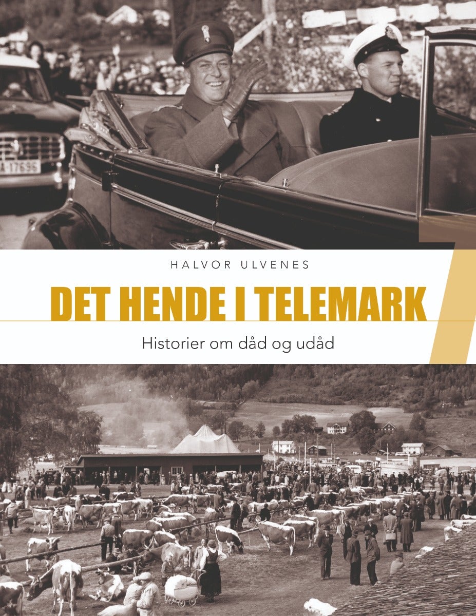 Det hende i Telemark 7 - Historier om dåd og udåd