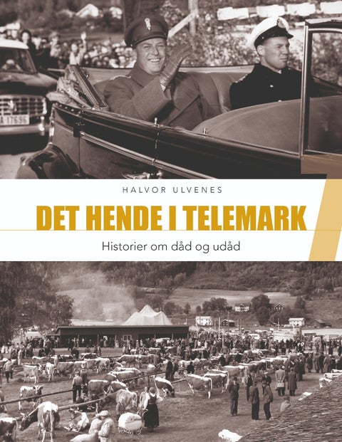 Det hende i Telemark 7 - Historier om dåd og udåd