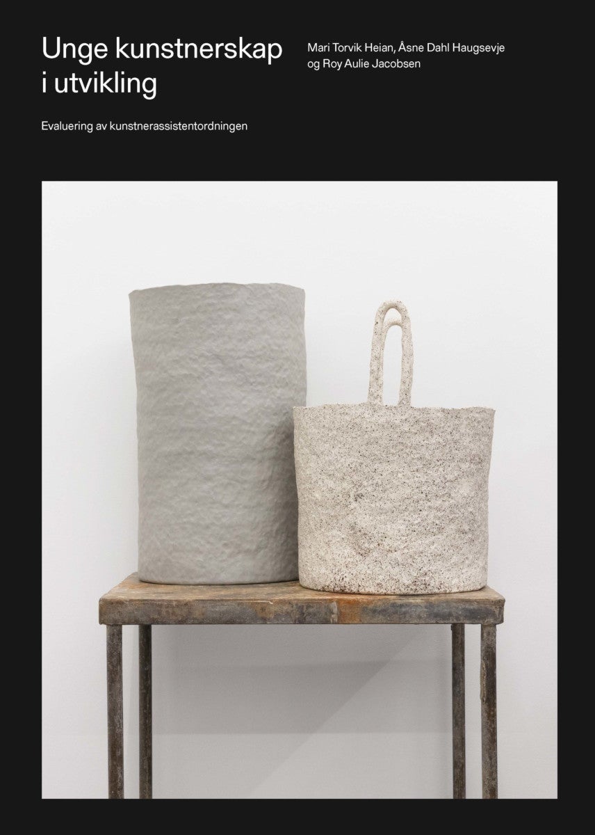 Unge kunstnerskap i utvikling - evaluering av kunstnerassistentordningen