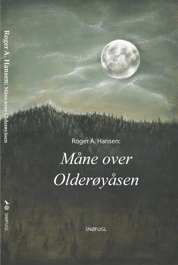 Måne over Olderøyåsen