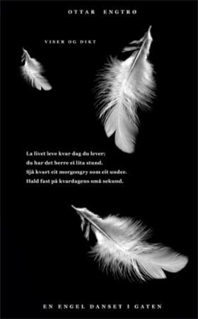 En engel danset i gaten - viser og dikt