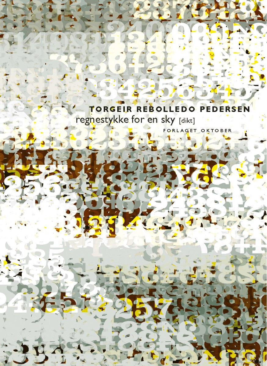 Regnestykke for en sky - dikt