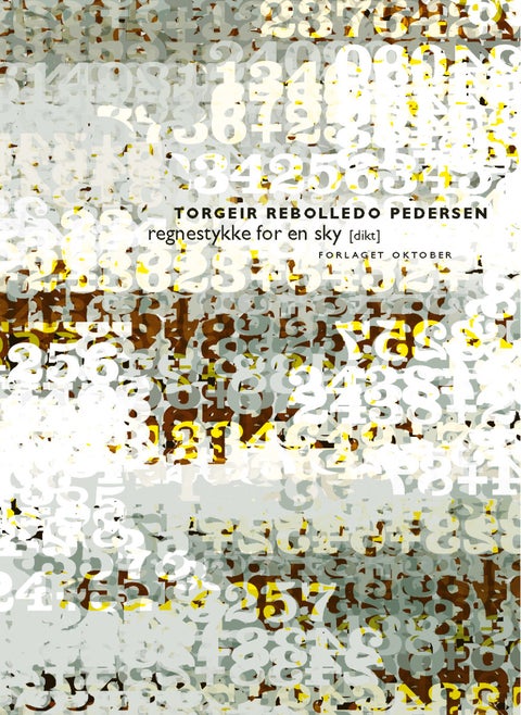 Regnestykke for en sky - dikt