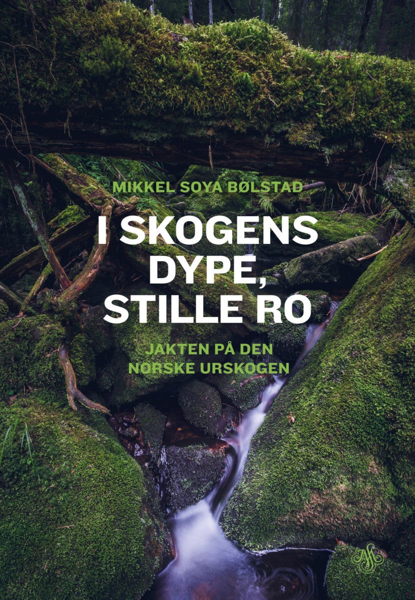 Bilde av I Skogens Dype, Stille Ro Av Mikkel Soya Bølstad