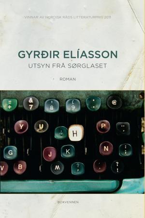 Bilde av Utsyn Frå Sørglaset Av Gyrðir Elíasson