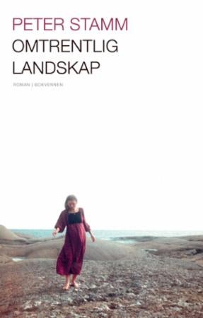 Omtrentlig landskap - roman
