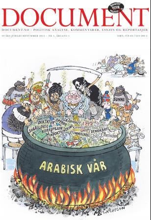Document. Nr. 1 2013 - Document.no - politisk analyse, kommentarer, essays og reportasjer : 10. års jubileumsnummer