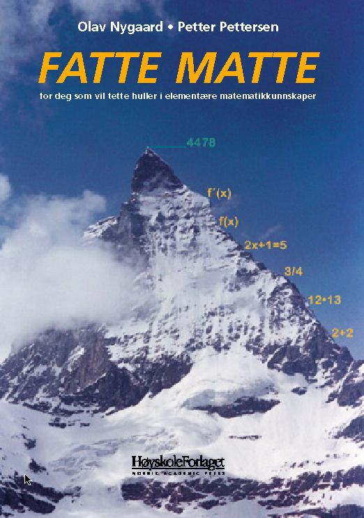 Fatte matte - for deg som vil tette huller i elementære matematikkunnskaper