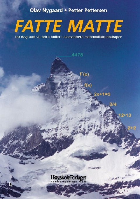 Fatte matte - for deg som vil tette huller i elementære matematikkunnskaper