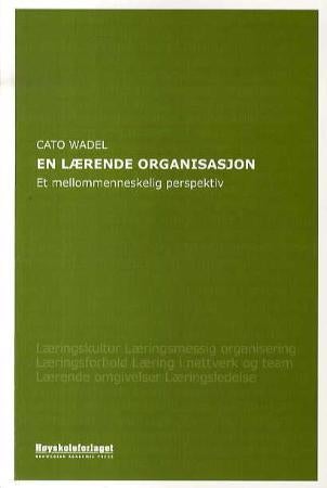 En lærende organisasjon - et mellommenneskelig perspektiv