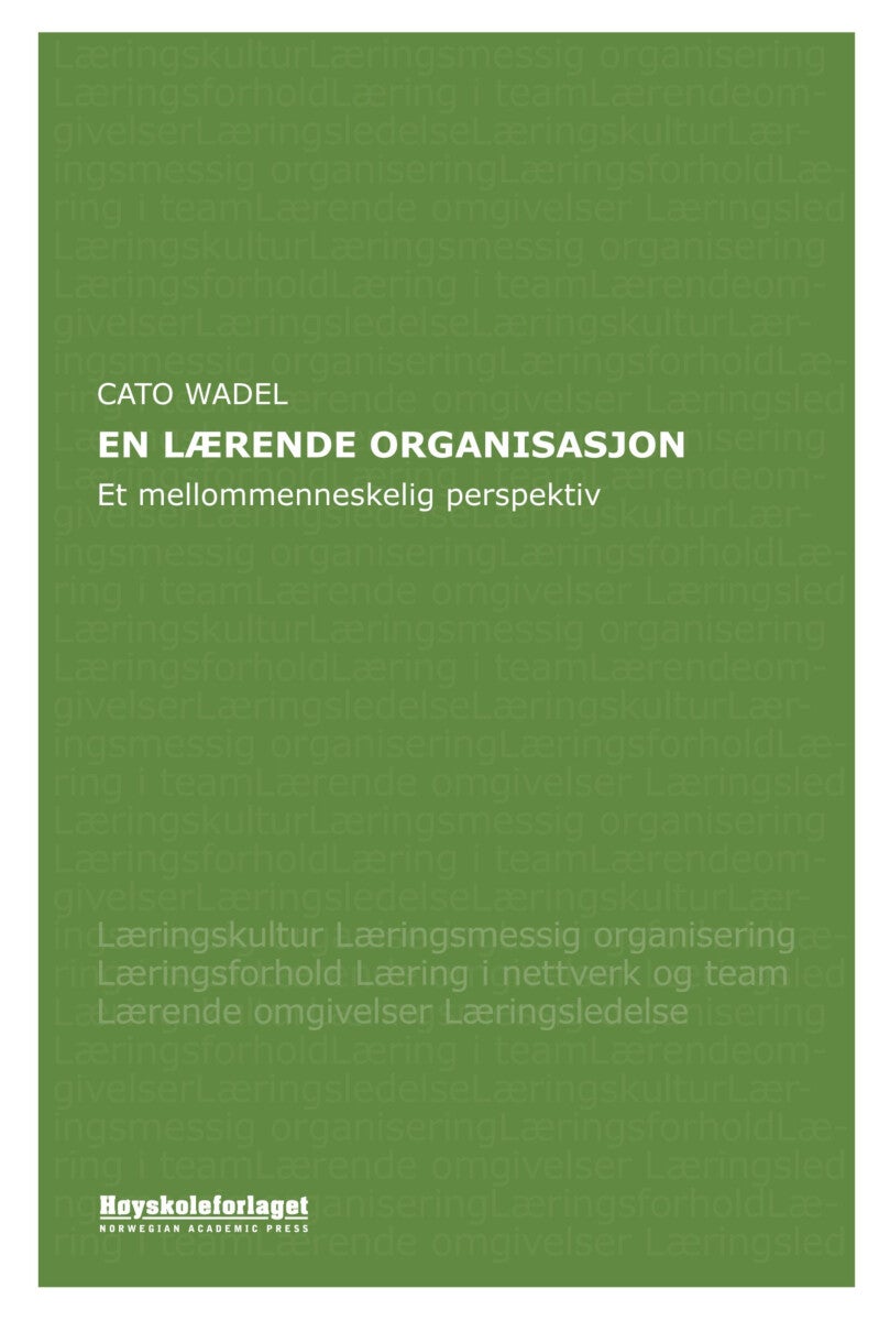 En lærende organisasjon - et mellommenneskelig perspektiv