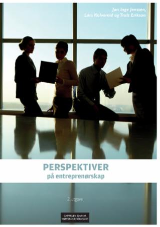 Bilde av Perspektiver På Entreprenørskap Av Truls Erikson, Jan Inge Jenssen, Lars Kolvereid