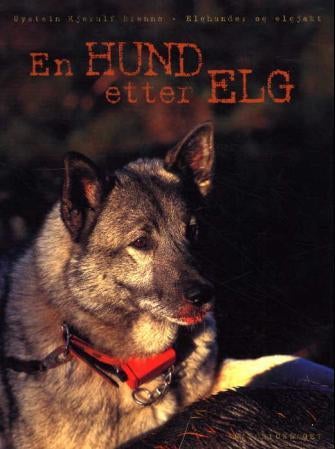 En hund etter elg - elghunder og elgjakt