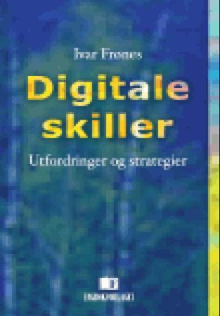 Digitale skiller - utfordringer og strategier