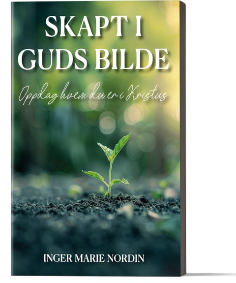 Skapt i Guds bilde - oppdag hvem du er i Kristus