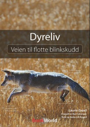Dyreliv - veien til flotte blinkskudd