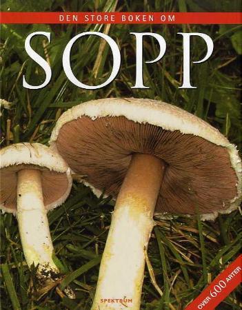 book cover thumbnail