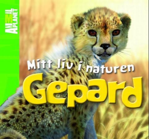 Gepard