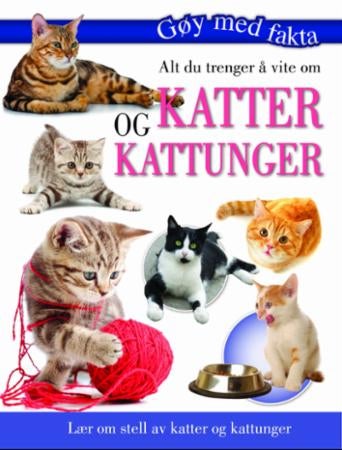 Alt du trenger å vite om katter og kattunger - lær om stell av katter og kattunger