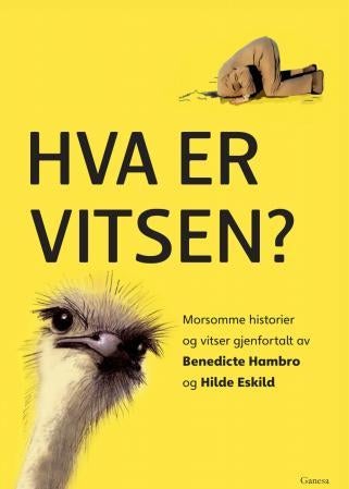 Hva er vitsen? - morsomme historier og vitser