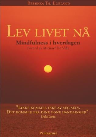 Lev livet nå - mindfulness i hverdagen