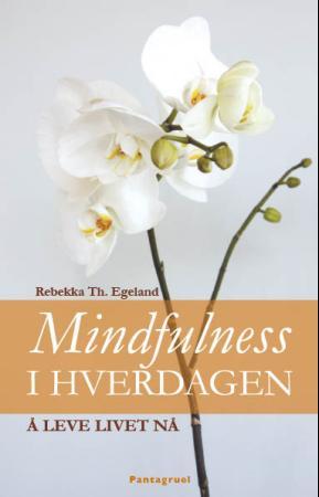 Mindfulness i hverdagen - å leve livet nå