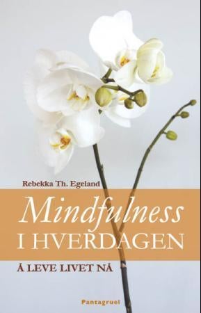 Mindfulness i hverdagen - å leve livet nå