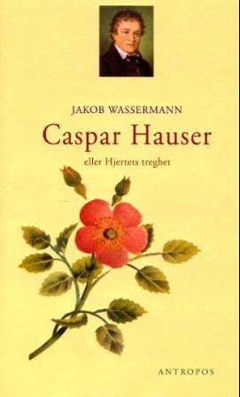 Caspar Hauser eller hjertets treghet - roman