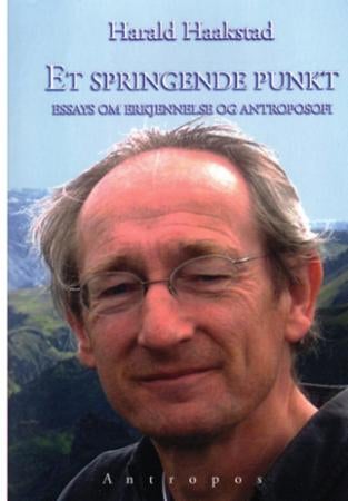 Et springende punkt - essays om erkjennelse og antroposofi