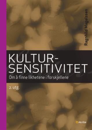 Kultursensitivitet - om å finne likhetene i forskjellene