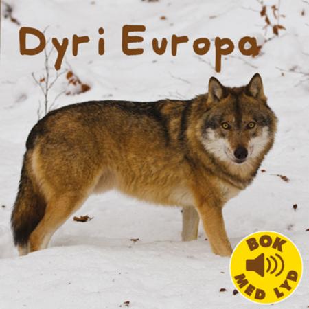 Bilde av Dyr I Europa