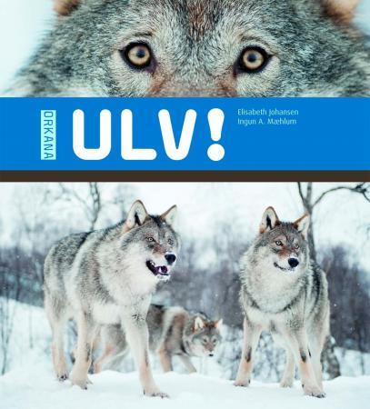 Ulv!