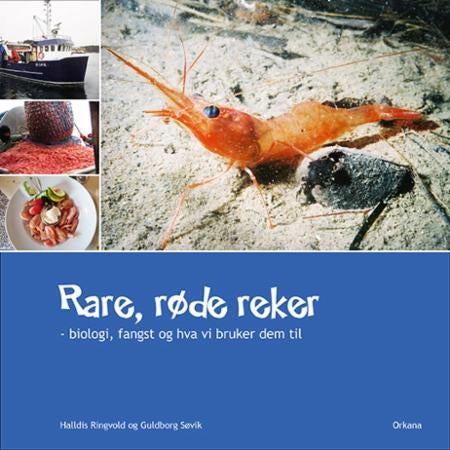 Rare, røde reker - biologi, fangst og hva vi bruker dem til