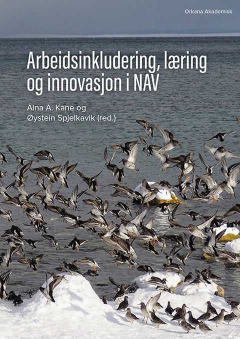 Arbeidsinkludering, læring og innovasjon i NAV