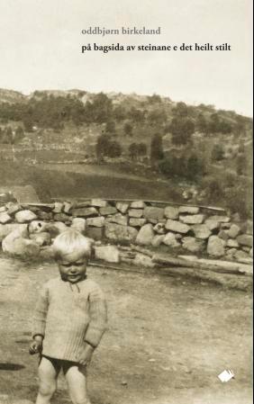 På bagsidå av steinane e det heilt stilt - dikt