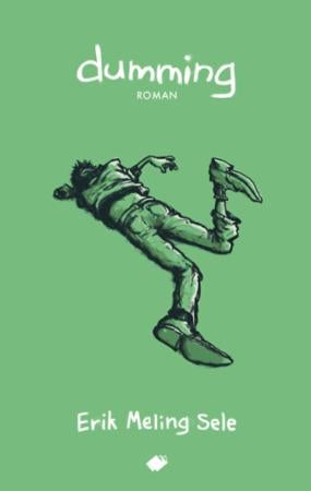 Dumming - roman