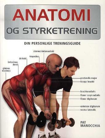 Anatomi og styrketrening - din personlige treningsguide