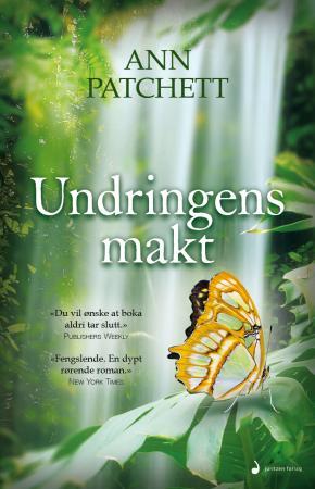 Undringens makt - roman