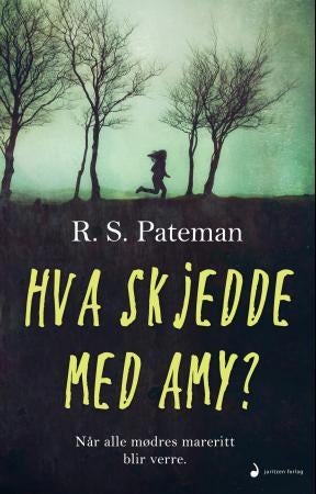 Hva skjedde med Amy? - roman