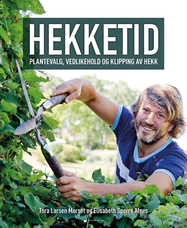 Hekketid - plantevalg, vedlikehold og klipping av hekk